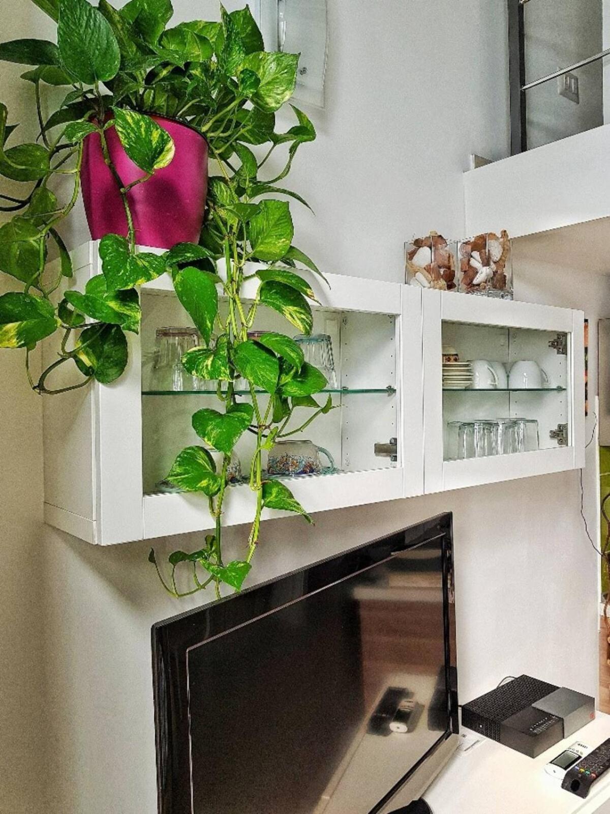 Borgo Santa Caterina - Fiera "Ventotto Holiday Home" 卡塔尼亚 外观 照片